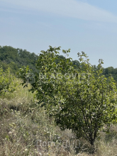 Продам земельный участок - 1-го Травня, Бортничи (10086-594) | Dom2000.com