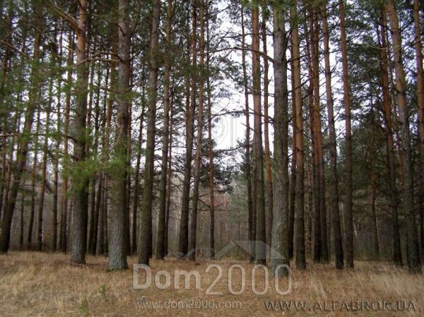 For sale:  land - ул. Центральная, Stoyanka village (3701-923) | Dom2000.com
