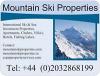 Агентство недвижимости «Маунтин ски пропертиз»