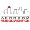 Real Estate Agency «Деловой Новосибирск»