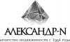 Real Estate Agency «Александр-Н»