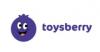  Компания «Toysberry»