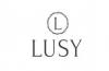  Компания «Lusy»