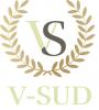  Компанія «V-sud»