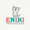  Компания «Eniki»