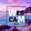  Company «Webcam»