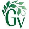  Компания «GreenVisa»