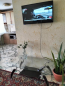 Lease 2-room apartment - ул 8 Марта, 105, Zavodskyi (2313-002) | Dom2000.com #75573285