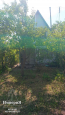 For sale:  home - СТ Вороничи, 23, Velikopolovetske village (10683-005) | Dom2000.com #78293633