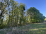 For sale:  land - Bilogorodka village (10732-011) | Dom2000.com #79045568