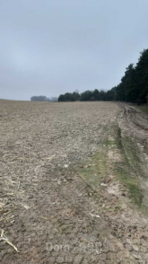 For sale:  land - Voronkiv village (10726-026) | Dom2000.com