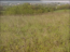 For sale:  land - Sadhirskyi (10723-043) | Dom2000.com #78998602