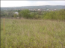 For sale:  land - Sadhirskyi (10723-043) | Dom2000.com #78998603
