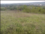 For sale:  land - Sadhirskyi (10723-043) | Dom2000.com #78998605