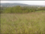 For sale:  land - Sadhirskyi (10723-043) | Dom2000.com #78998607