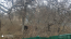 For sale:  land - Irpin city (10716-053) | Dom2000.com #78946193