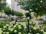 For sale:  shop - Михайла Максимовича вул., 26Е, Golosiyivo (10731-064) | Dom2000.com #79041465