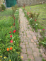 For sale:  home - Obuhiv city (regional center) (10633-138) | Dom2000.com #77789325