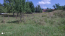 For sale:  land - Irpin city (10318-203) | Dom2000.com #73950431