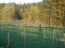 For sale:  land - Fasivochka village (10639-211) | Dom2000.com #77862077
