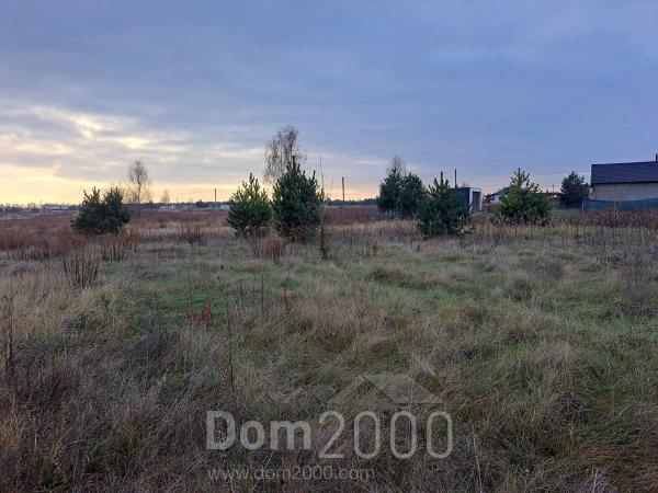 Продам земельный участок - с. Залесье (10731-224) | Dom2000.com