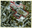 For sale:  land - Vasilkiv city (10201-228) | Dom2000.com #72566938