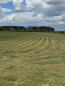 For sale:  land - Buzova village (5911-244) | Dom2000.com #77965837