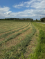 For sale:  land - Buzova village (5911-244) | Dom2000.com #77965838