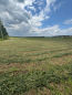 For sale:  land - Buzova village (5911-244) | Dom2000.com #77965842
