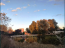 For sale:  land - Puhivka village (10685-250) | Dom2000.com #78314848