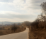 For sale:  land - Roslavichi village (10685-267) | Dom2000.com #78314978