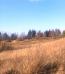For sale:  land - Roslavichi village (10685-267) | Dom2000.com #78314979