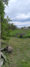 For sale:  home - Suholuchchya village (10670-269) | Dom2000.com #78167671