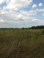For sale:  land - Semipolki village (10494-275) | Dom2000.com #75895046