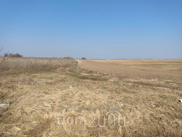 Продам земельну ділянку - с. Вороньків (10731-304) | Dom2000.com