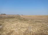Продам земельну ділянку - с. Вороньків (10731-304) | Dom2000.com
