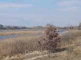 Продам земельну ділянку - с. Головурів (10731-312) | Dom2000.com