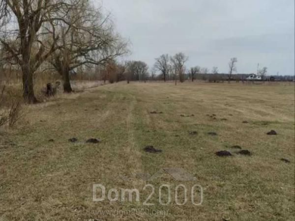 Продам земельну ділянку - с. Сезенків (10732-339) | Dom2000.com