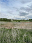For sale:  land - Bobritsya village (10732-341) | Dom2000.com #79047042