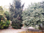 For sale:  home - Багрицкого str., Malynovskyi (10663-360) | Dom2000.com #78103255