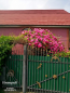 For sale:  home - Фастовская str., Mar'yanivka village (10644-389) | Dom2000.com #77918367