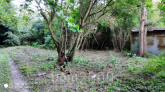 For sale:  land - Irpin city (10667-419) | Dom2000.com