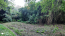 For sale:  land - Irpin city (10667-419) | Dom2000.com #78140057