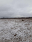 For sale:  land - Kovel city (10732-432) | Dom2000.com #79047340