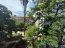 Lease 2-room apartment - Дорогожицька вул., 15А, Luk'yanivka (10732-437) | Dom2000.com #79047374