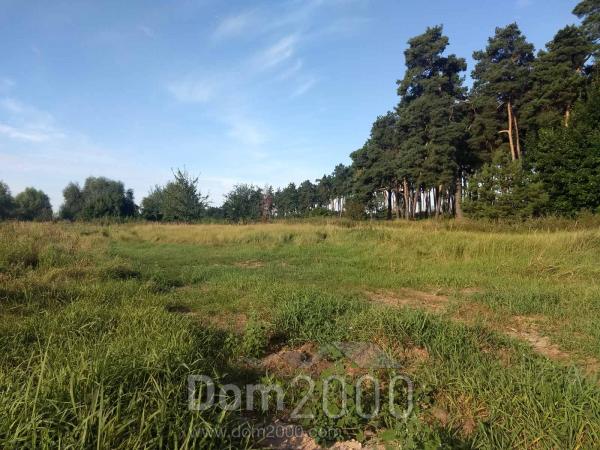 Продам земельну ділянку - с. Дернівка (10551-438) | Dom2000.com