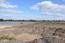 For sale:  land - Borispil city (10723-454) | Dom2000.com #79001355