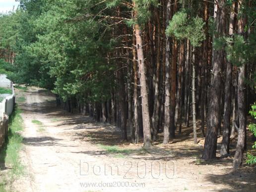 For sale:  land - Skripki village (520-469) | Dom2000.com