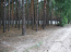 For sale:  land - Skripki village (520-469) | Dom2000.com #14718446