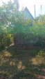 For sale:  home - Великополовецьке str., 23, Bila Tserkva city (10695-475) | Dom2000.com #78608202